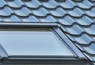 Willson Riverskylight-replacements.jpg; ?>